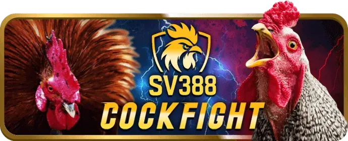 Cá cược thể thao tại 58win nhà cái